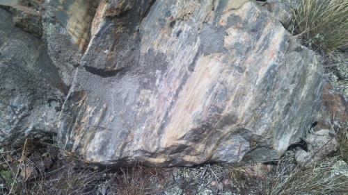 Гигантские зелёные валуны для ландшафтного дизайна весом более 5 тонн купить в Краснодаре