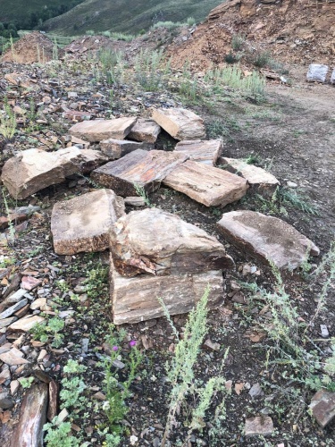 Плитняк кора дерева 50-100мм для пошаговых дорожек купить в Краснодаре